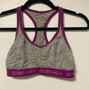 Icebreaker grey  purple merino wool bra size XS